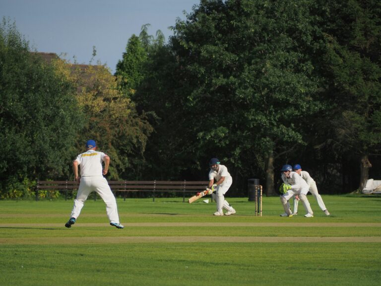 Sustainability Practices in IPL Venues: Promoting Environmental Responsibility