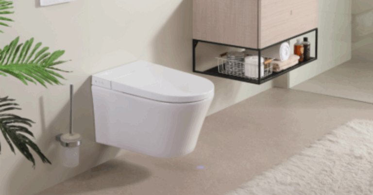 The Ultimate Guide to Bidet Toilet and Toilet Bowl Solutions