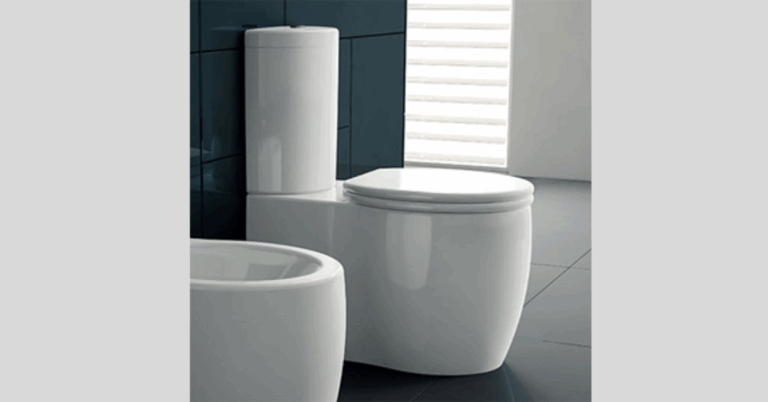 Everything You Need to Know About Choosing the Right Toilet Bowl