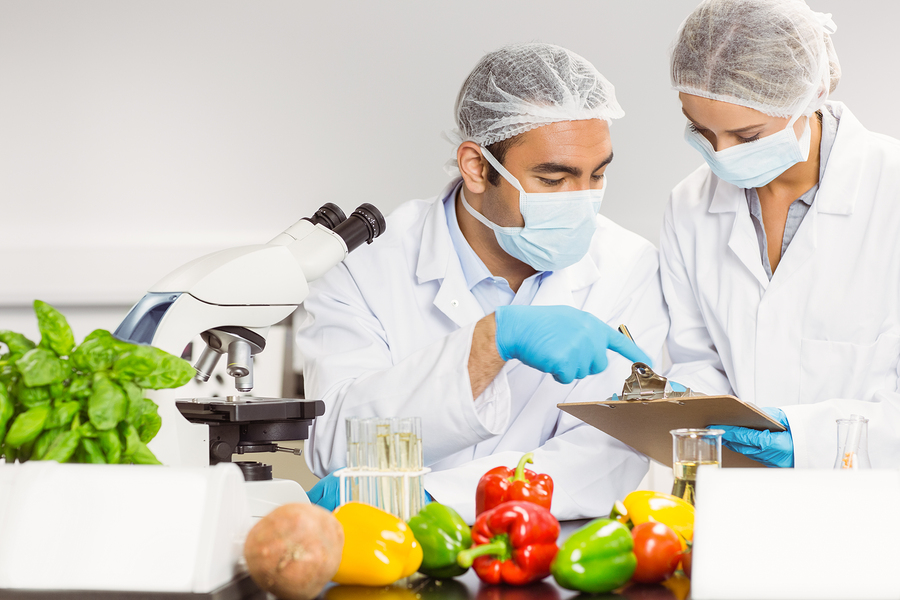 Understanding the Importance of a Food Safety Course in Singapore
