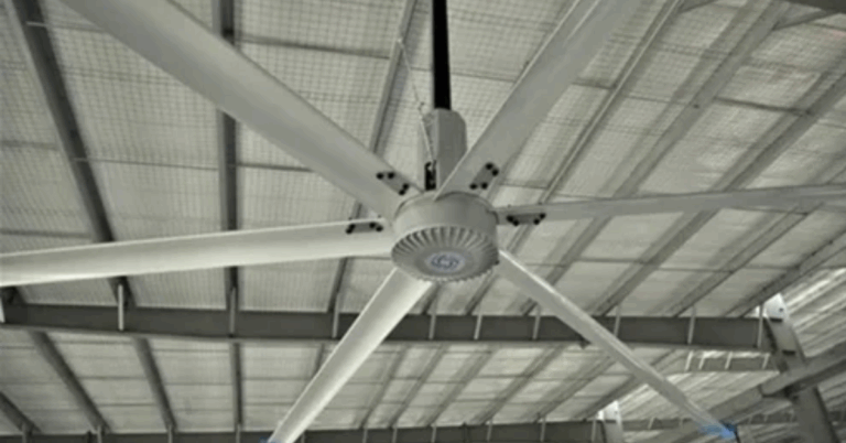 Harnessing Airflow: The Role and Benefits of Commercial Ceiling Fans